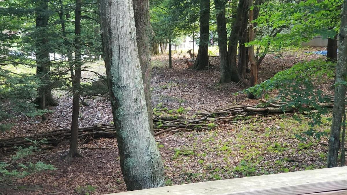 Firepit, Bbq, Ac, Indoor Pool, King Bed, Self Check In, Indoor Fireplace, Free Amenities * Lake Ariel